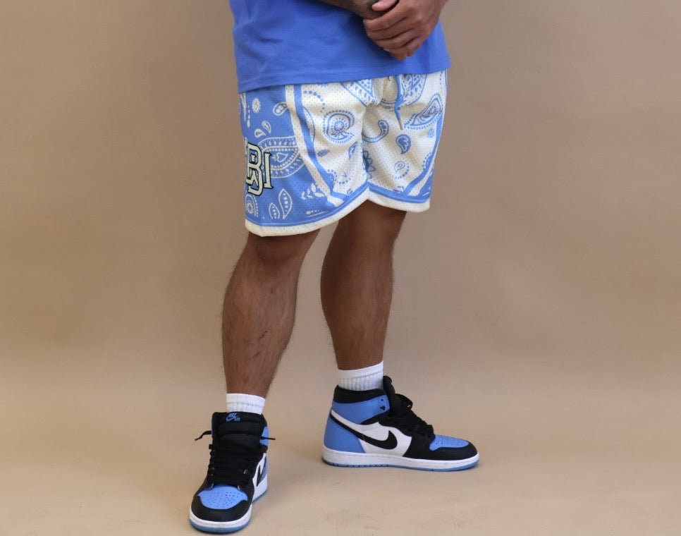 Reverse Arctic Paisley