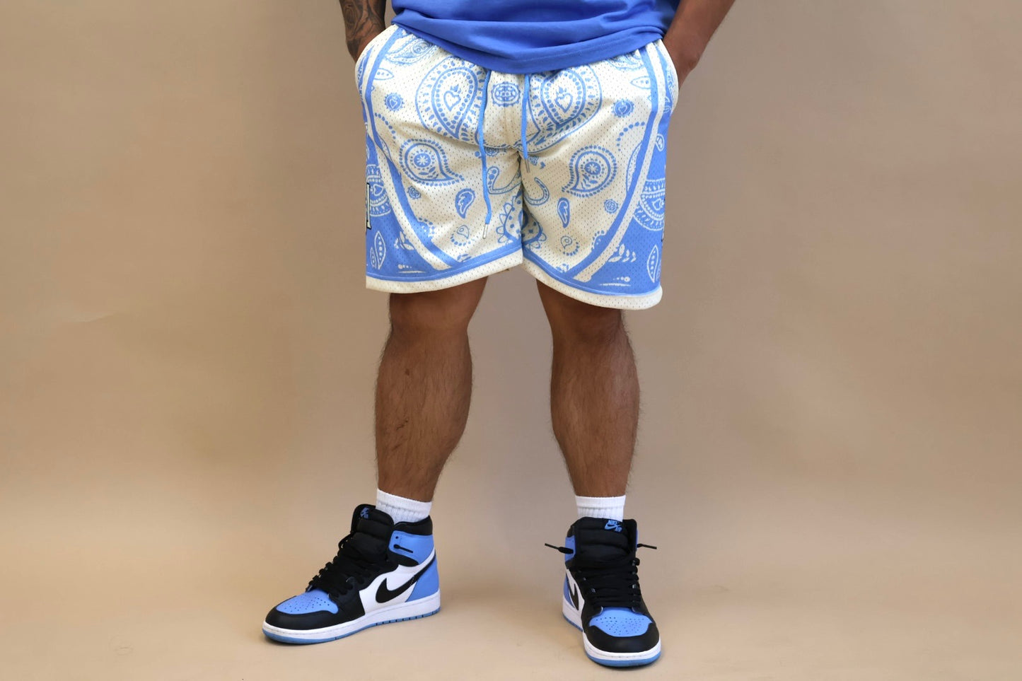 Reverse Arctic Paisley