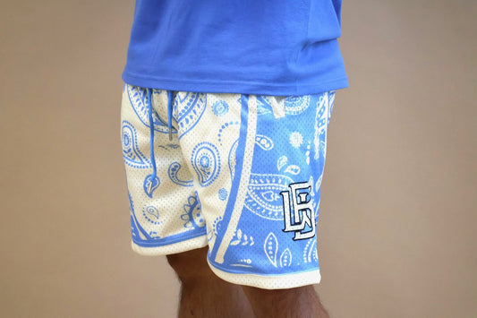 Reverse Arctic Paisley