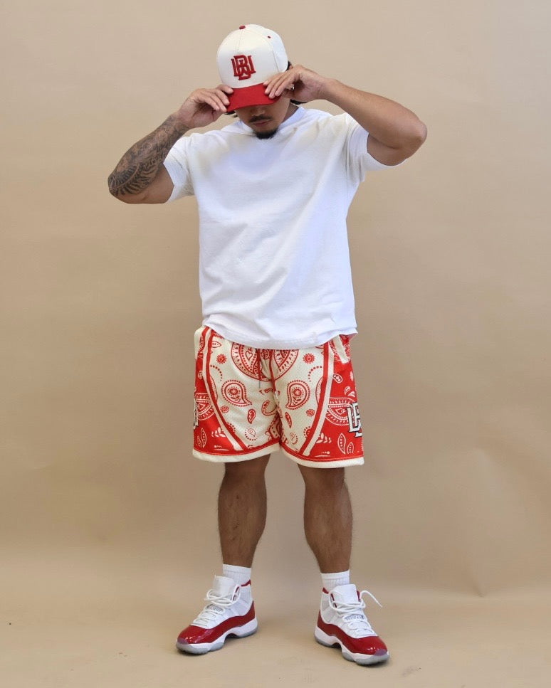 Reverse Cherry Paisley