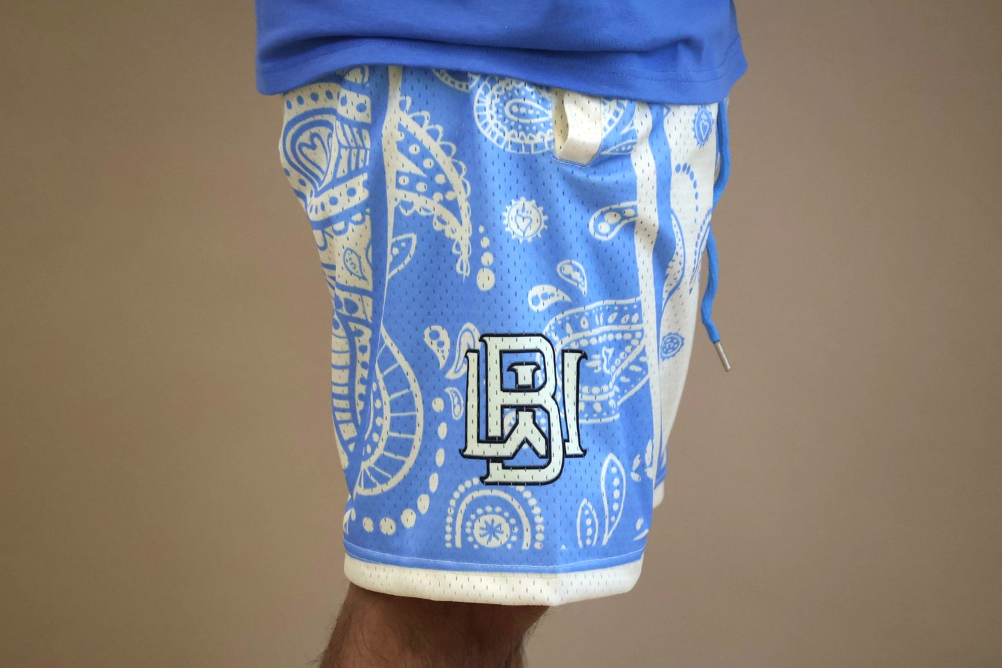 Reverse Arctic Paisley