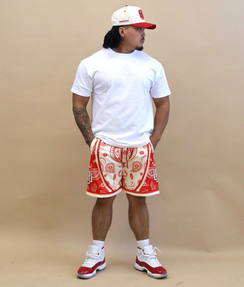 Reverse Cherry Paisley