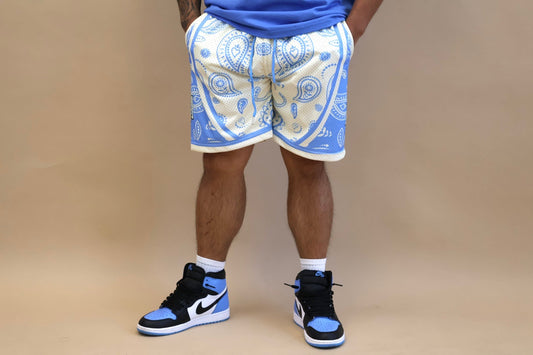 Reverse Arctic Paisley
