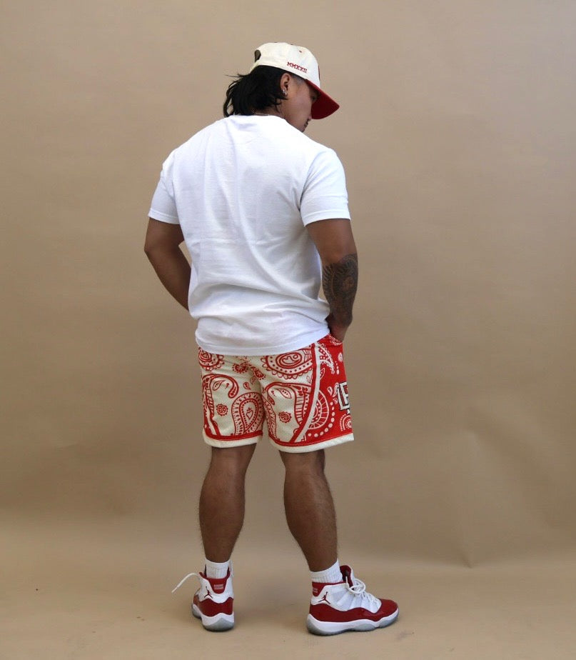 Reverse Cherry Paisley